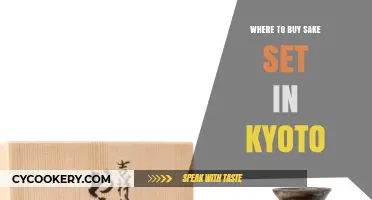 Discover Kyoto's Best Shops for Authentic Sake Sets