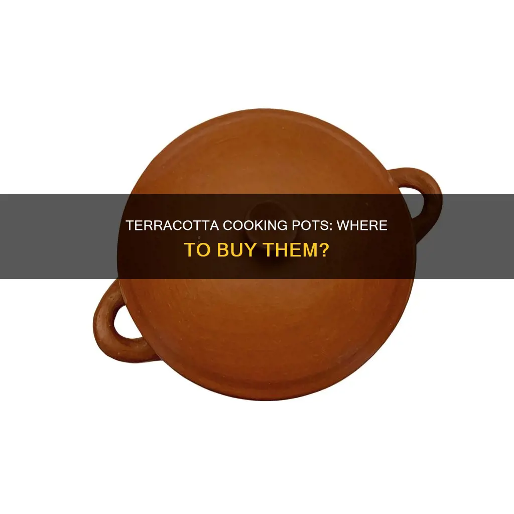 where to buy terracotta cooking pots