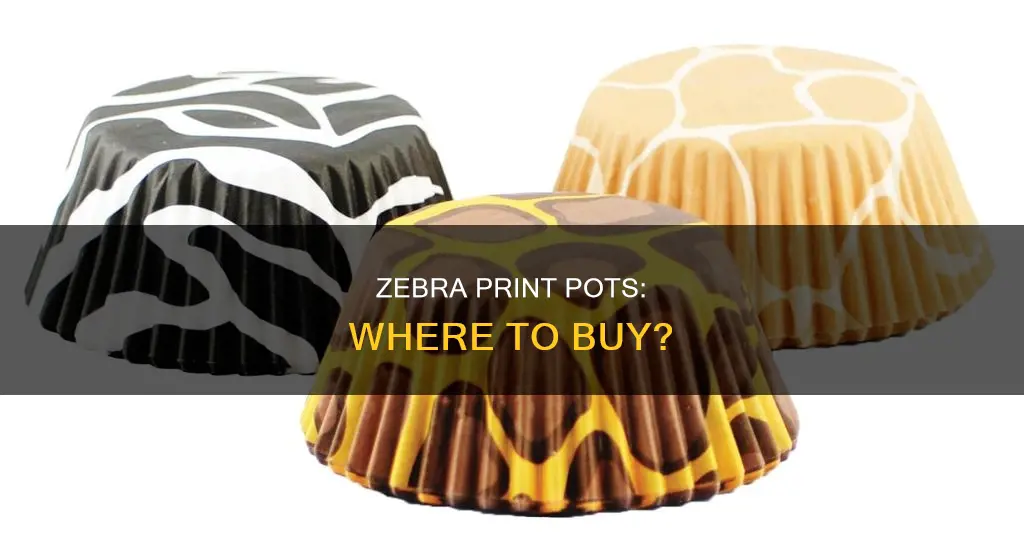 where to buy zebra print pots and pans