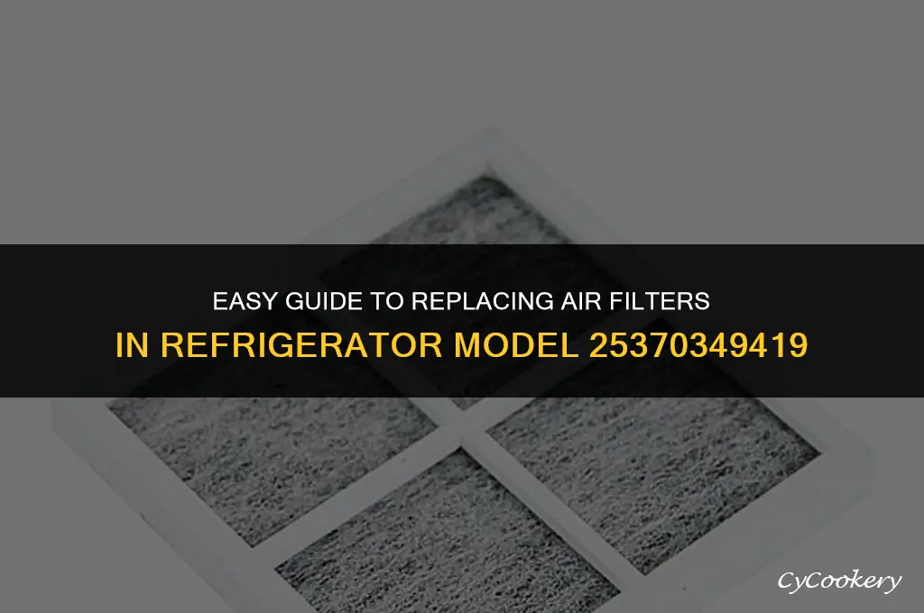 where to change air filter refrigerator model 25370349419