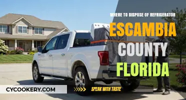 Eco-Friendly Fridge Disposal in Escambia County, Florida