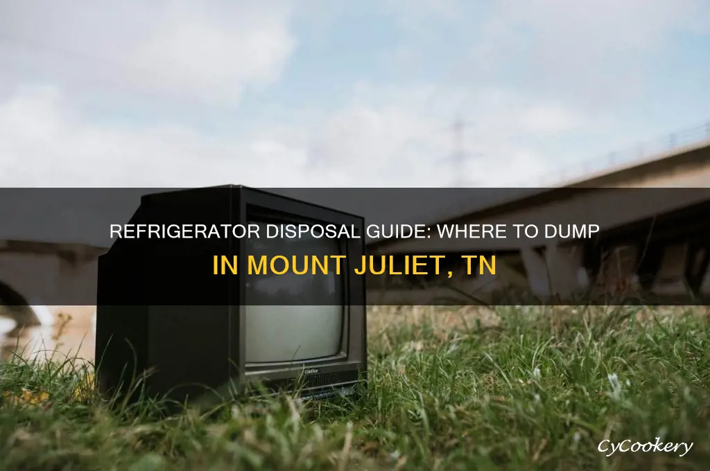 where to dump refrigerator mount juliet tn