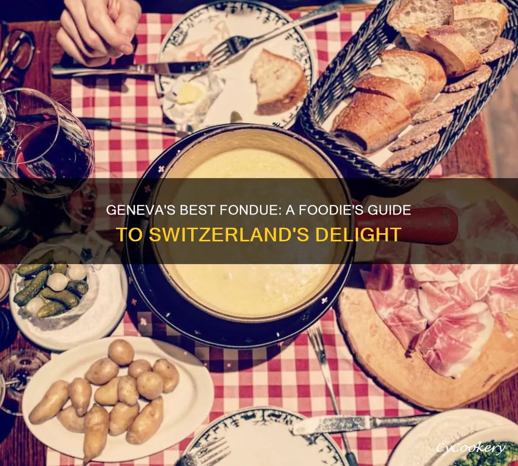 where to eat fondue in geneva switzerland