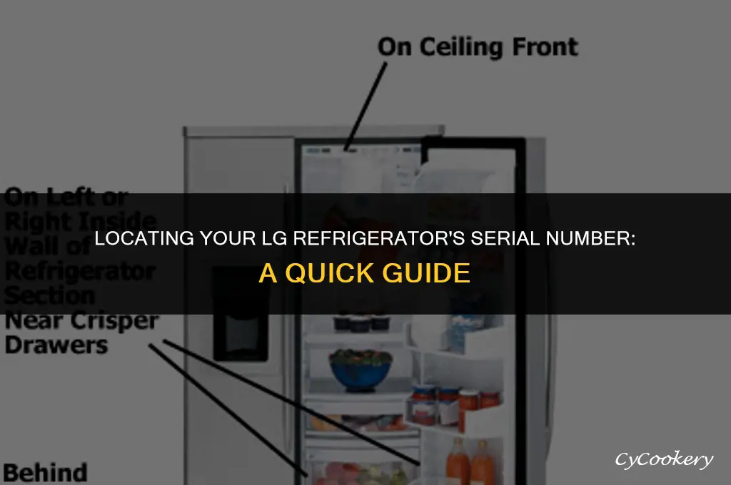 where to find a serial number on lg refrigerator