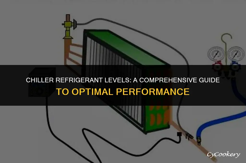 where to find amount of refrigerant in chiller