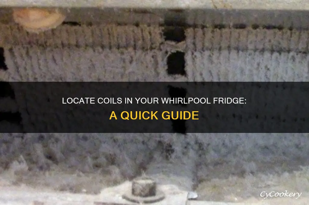 where to find coils in whirlpool refrigerator