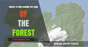Discover Cooking Pot Locations in Sons of the Forest: A Guide