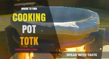 Discover the Best Locations for Cooking Pot in TotK