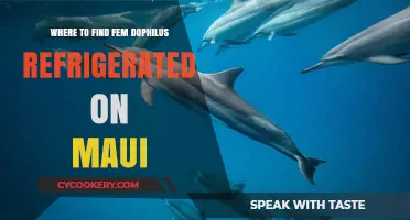 Discovering Fem Dophilus Refrigerated on Maui: A Comprehensive Guide