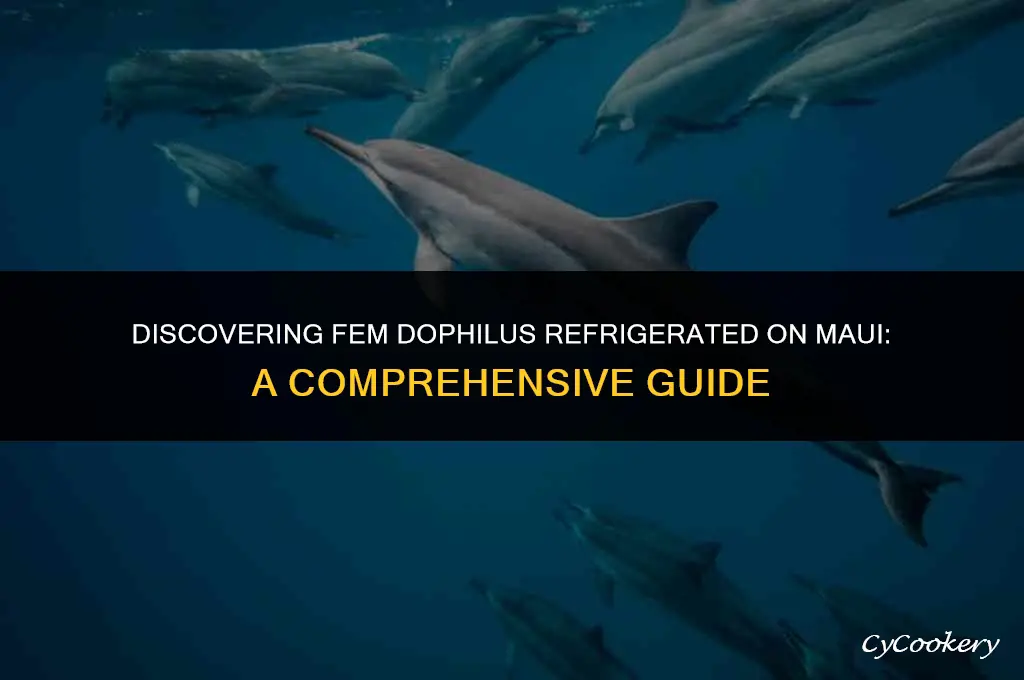 where to find fem dophilus refrigerated on maui
