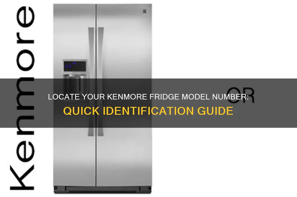 where to find model number on kenmore refrigerator