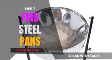 Steel Pan Retailers: A Guide