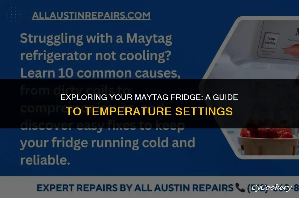 where to find temperature setting on maytag refrigerator