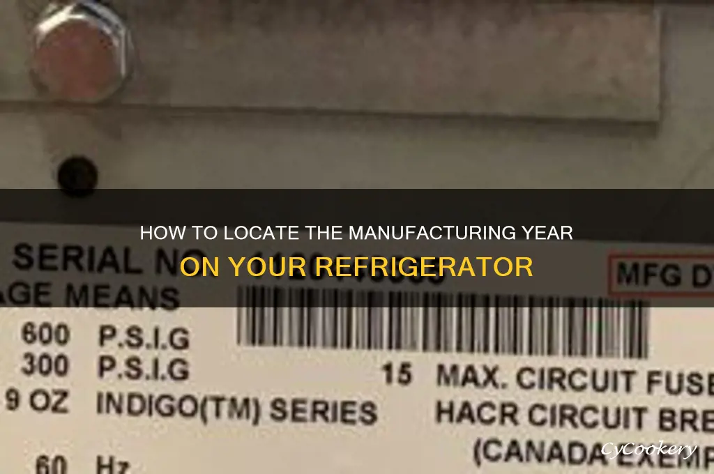 where to find the year on refrigerator