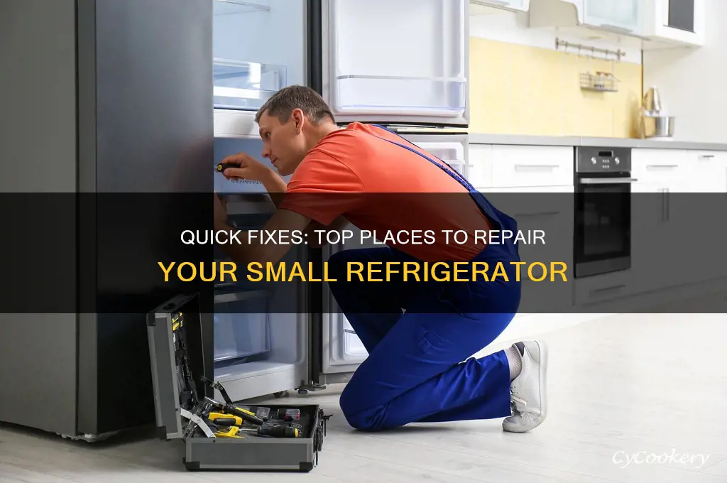 where to get a small refrigerator fixed
