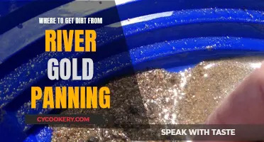 River Gold Panning: Finding Dirt, Finding Fortune