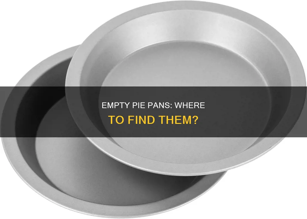 where to get empty pie pans