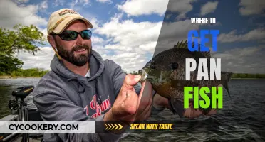 Best Pan Fish Locations for Anglers