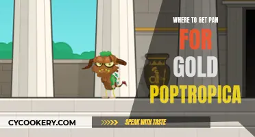 Poptropica Gold Panning: Where to Find the Motherlode