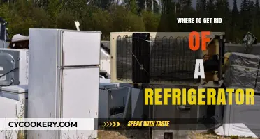 Eco-Friendly Options: Where to Dispose of Your Old Refrigerator Responsibly