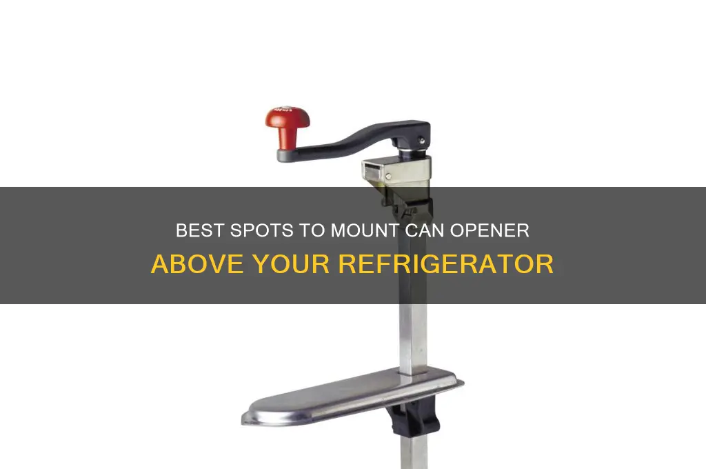 where to mount can above refrigerator