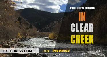 Panning for Gold: Best Spots in Clear Creek