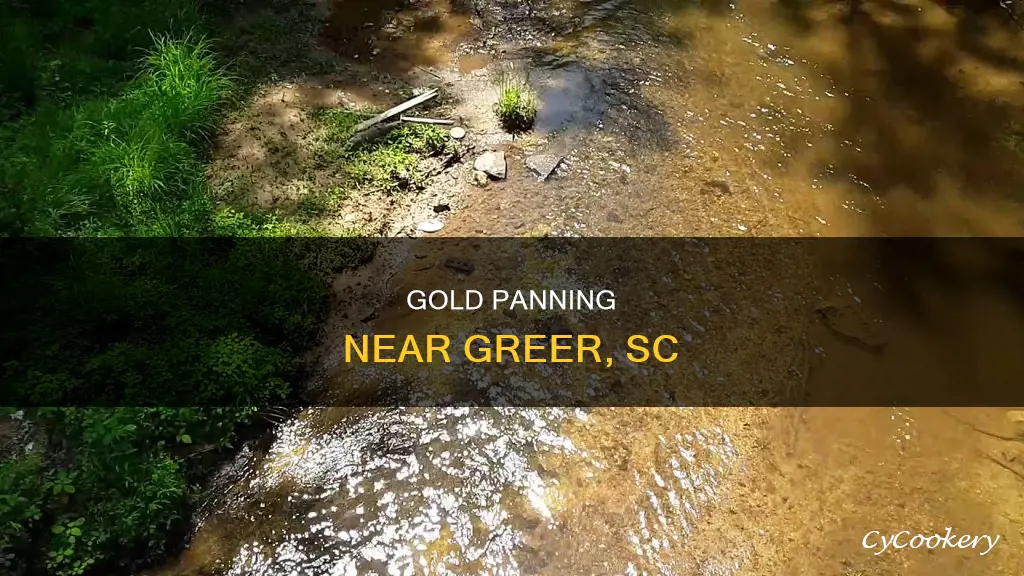 where to pan for gold near greer sc