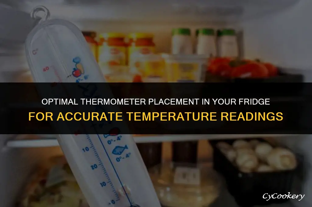 where to place a thermometer in a refrigerator