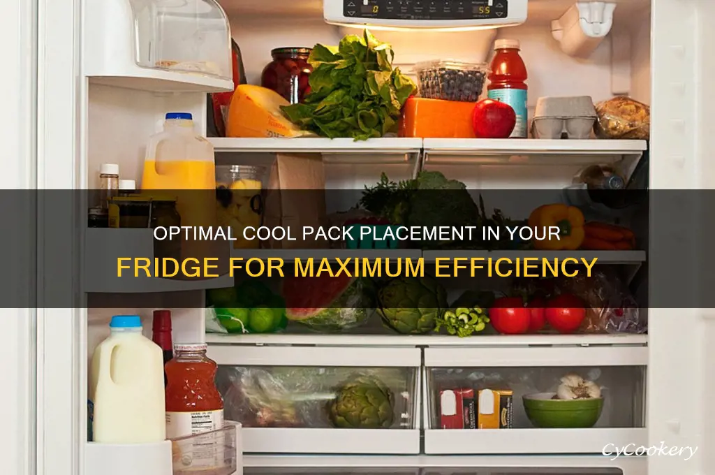 where to place cool pack in refrigerator