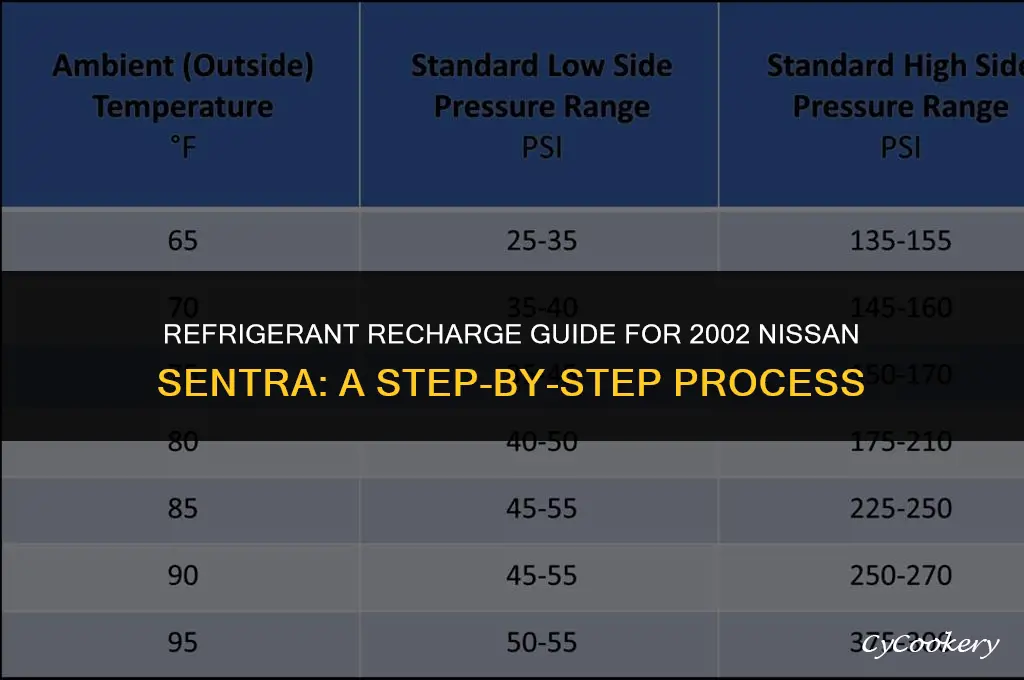 where to plug refrigerant on 2002 nissan sentra