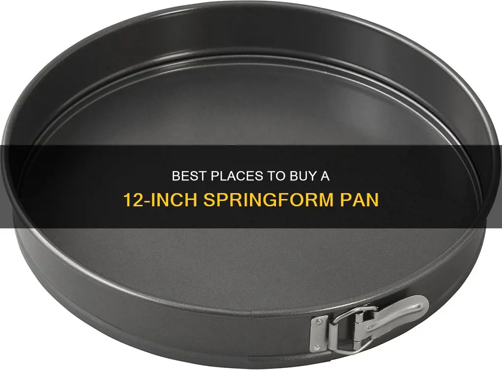 where to purchase a 12 in non stick springform pan