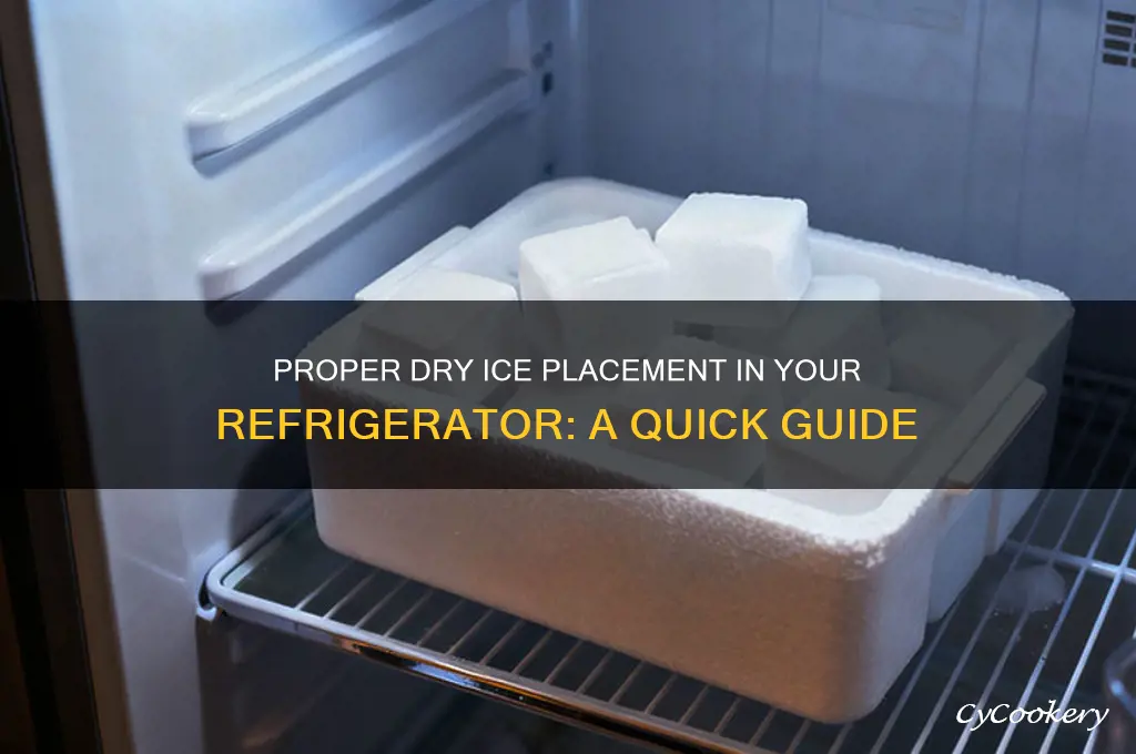 where to put dry ice in refrigerator