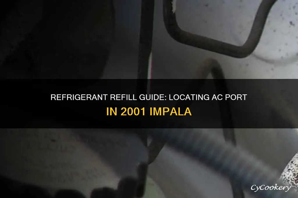 where to put refrigerant in 2001 impala