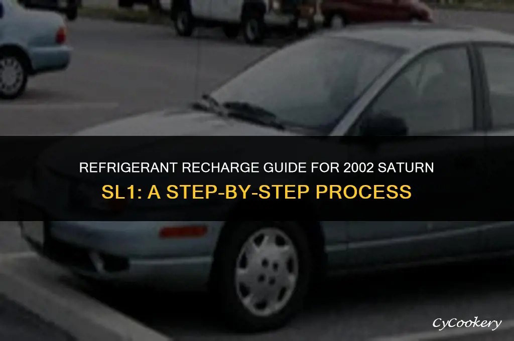 where to put refrigerant in 2002 saturn sl1