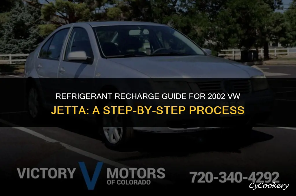 where to put refrigerant in a 2002 vw jetta
