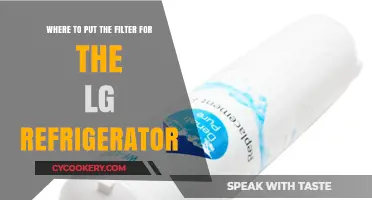 Optimal Filter Placement for Your LG Refrigerator: A Guide