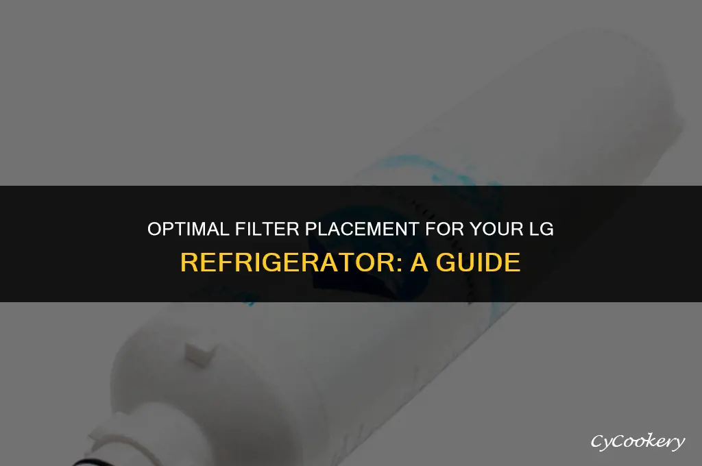 where to put the filter for the lg refrigerator