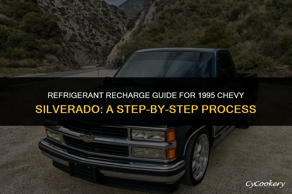 where to put the refrigerant in 1995 chevy silverado