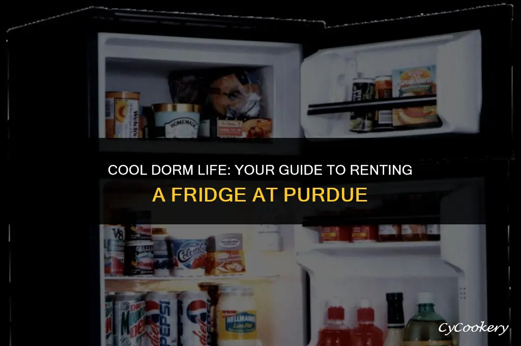 where to rent a refrigerator for purdue dorm
