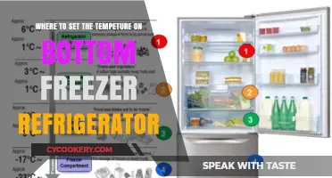Chill Control: Mastering the Bottom Freezer Refrigerator Temperature