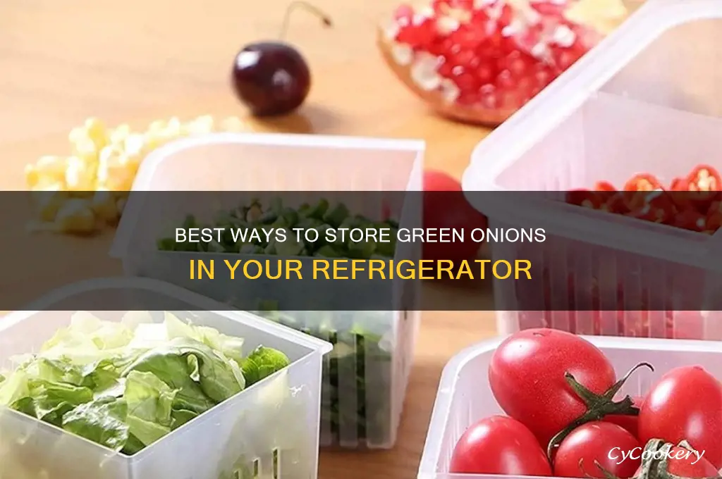 where to store green onions in refrigerator