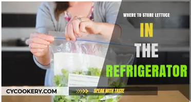 Best Spots to Keep Lettuce Fresh in Your Fridge