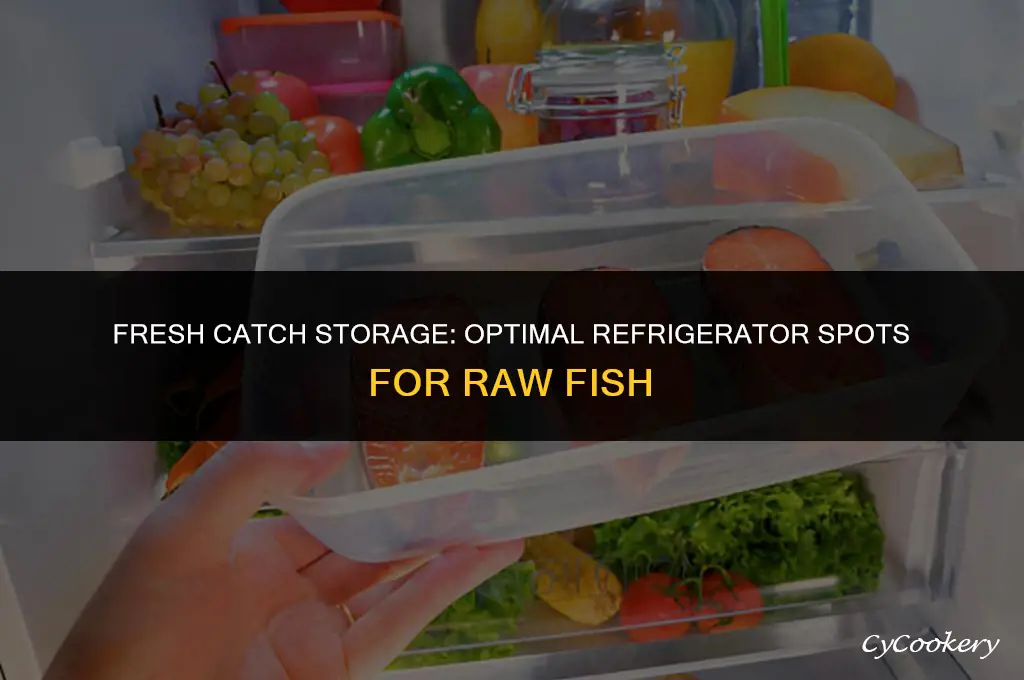 where to store raw fish in a refrigerator