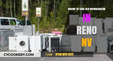 Eco-Friendly Disposal: Reno's Guide to Recycling Old Refrigerators