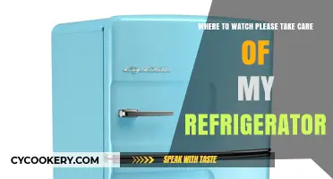 Chill Vibes: Your Guide to 'Please Take Care of My Refrigerator' Viewing Spots