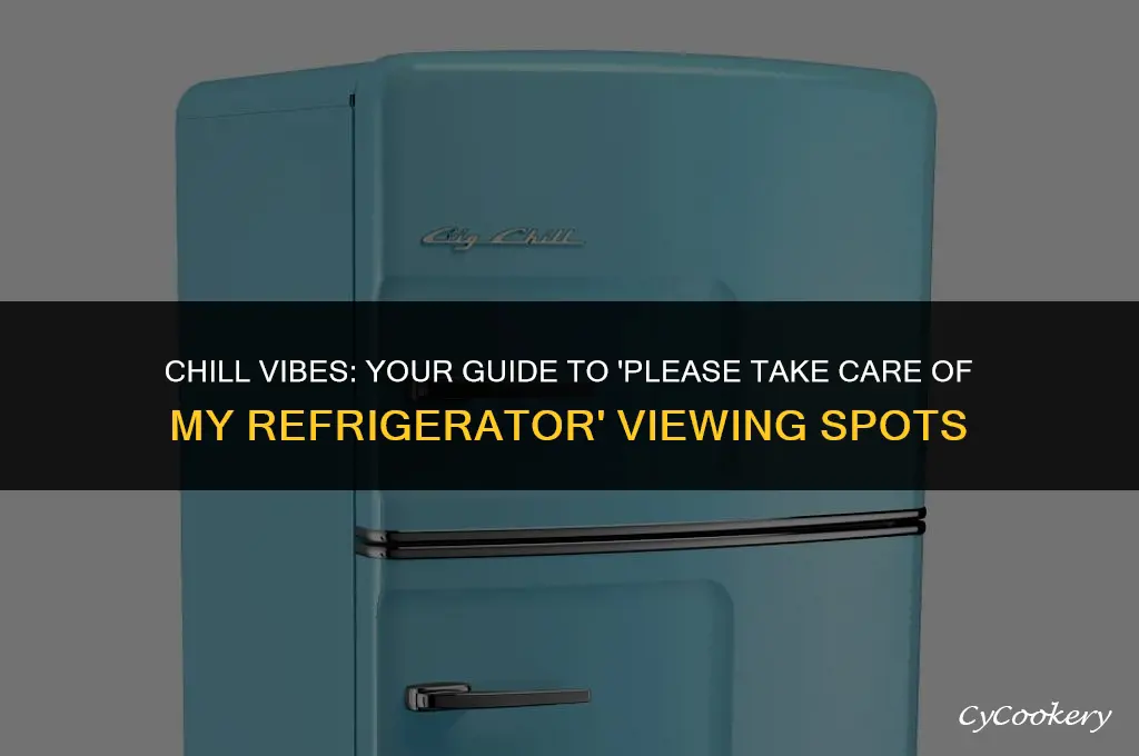 where to watch please take care of my refrigerator
