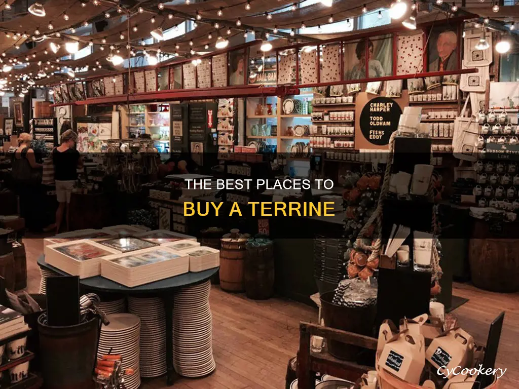 where would you expect to buy a terrine