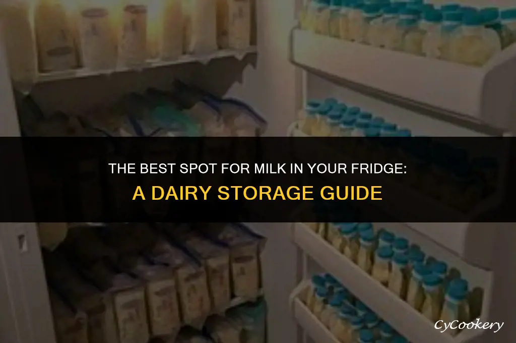 where you should store milk in the refrigerator