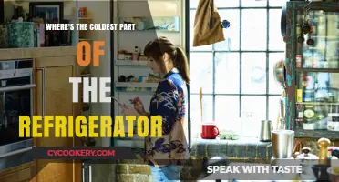 Chill Insights: Exploring the Refrigerator's Coldest Spot