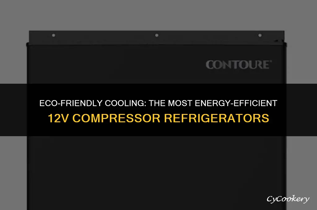 which 12v compressor refrigerator uses the least electricity